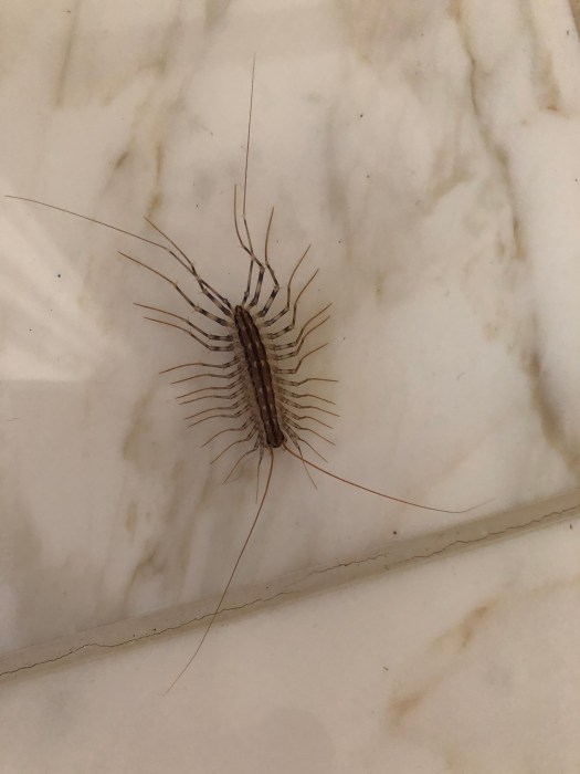 FE4BA031-4743-49CB-9146-EDB1F33E1002