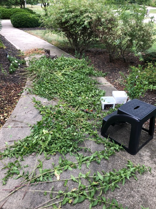 039C082C-2FEE-4D0B-8D50-1758F055637D