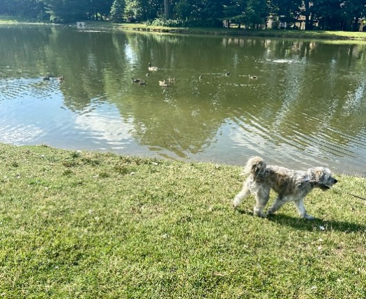 0F42510E-55F2-4A54-B773-70172E79AD05