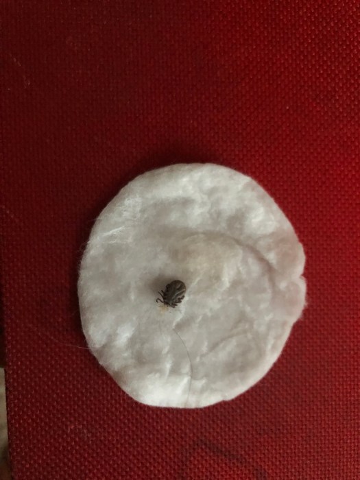 1007897E-1F4F-4E02-9DBA-8A1BC6F5A710