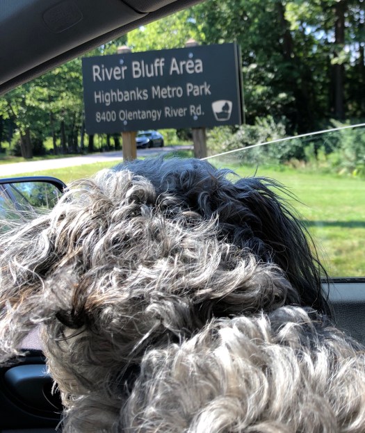 10A0A169-B078-4587-B323-138D43B76691