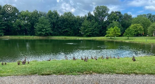 10E30B85-638D-4AEC-8D7A-F33C7F0E16FC