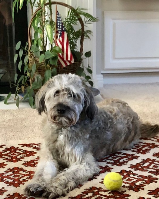 117C0105-0F59-47A2-BE6A-8E27258527FA