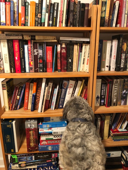 16C0F973-CBF5-438F-A6F6-63132DEB7849