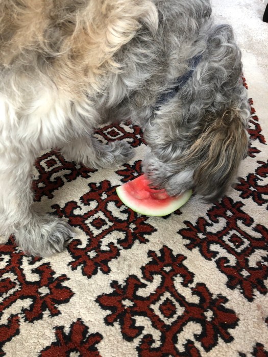 18797A29-A694-4F62-A5B9-264CB680159D