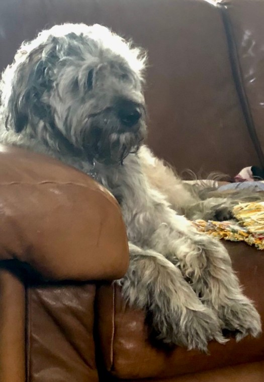 1A961A44-9F4E-45E6-A85C-FB528038ABC6