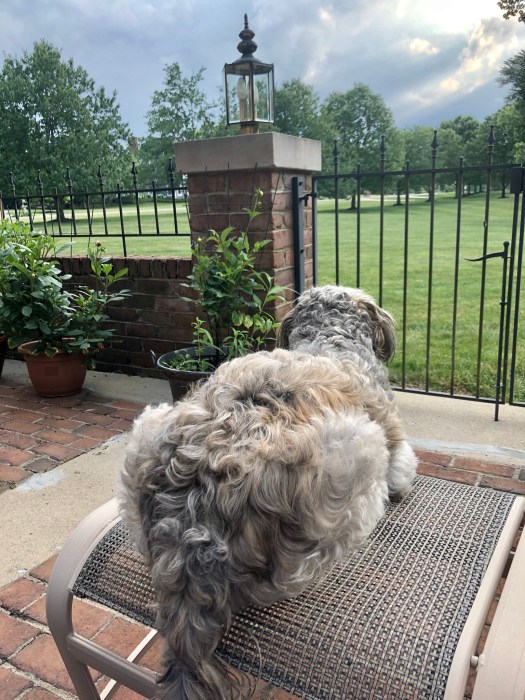 1E0353D8-D665-48E7-86B6-41AC7FD92D6A