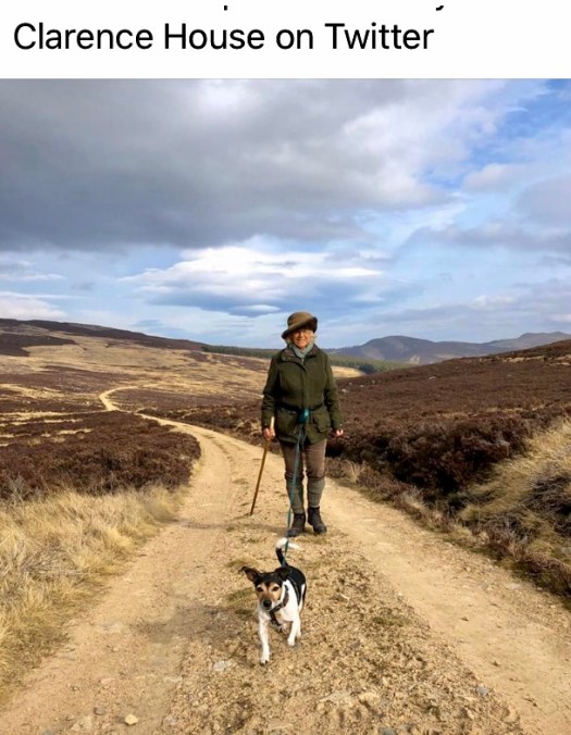 1E323FCB-1339-4E4B-B8B8-725C4C0D0921