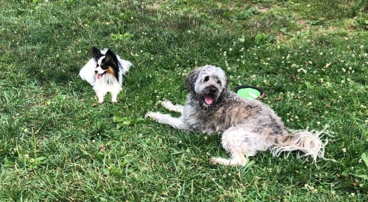 21C2A709-5147-46D8-ADDA-990C861F8EA1