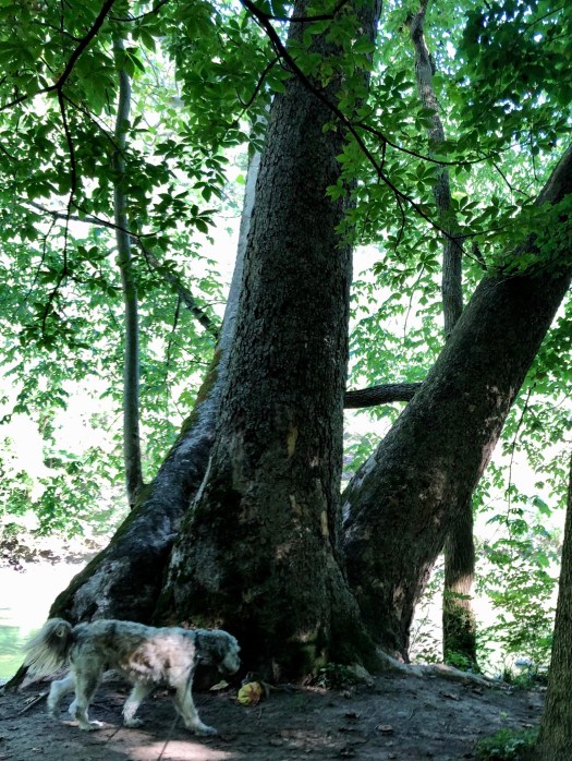 2517FB08-D24C-404B-AB95-E0C0A251CD80