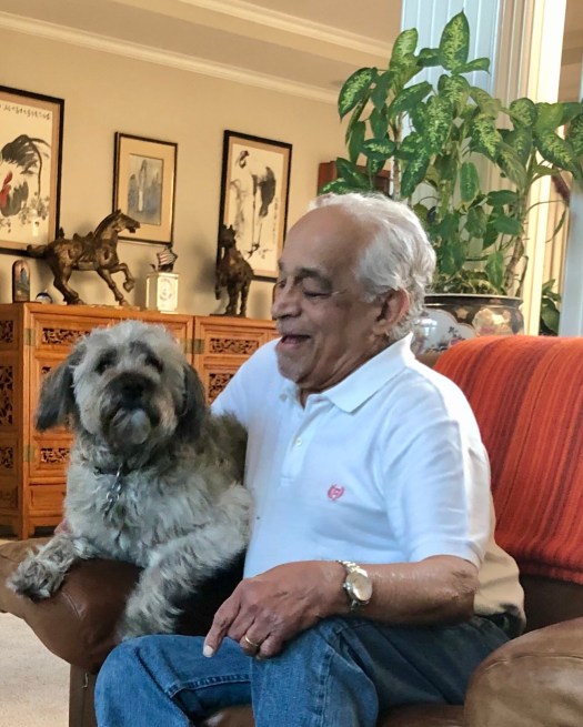 2523EB7A-5737-4648-BA27-099C0ED002AE