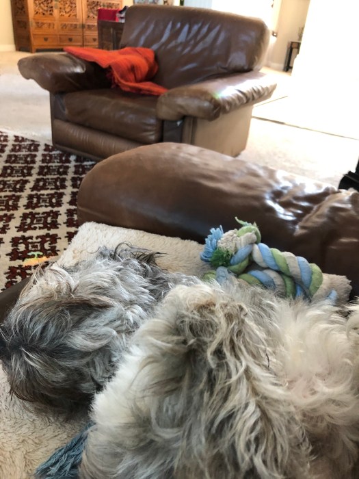 2BB1EDCF-7972-4BE8-8F65-02D892BFDED2