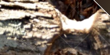 309D0F44-8FD9-4DCB-AA05-330D78940A49