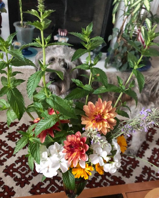 3333609C-3A69-40BB-8FA6-DBF4142ADD55