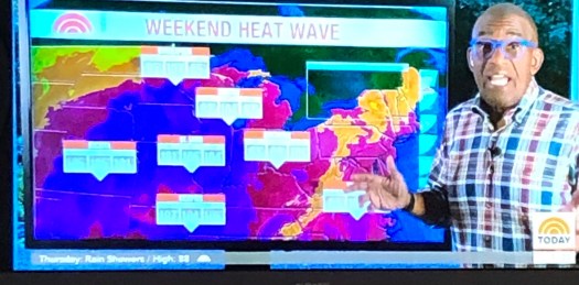 33F53FDC-29BE-4183-9B9B-43971760A44A