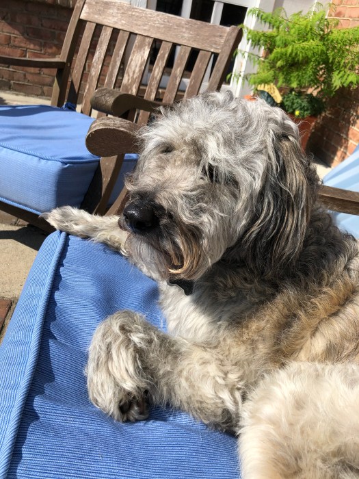 343A3867-7017-4382-8B62-9D07B8995166