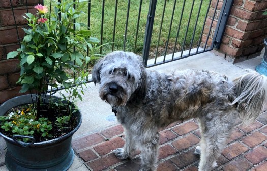 3C3F2DDE-6609-4BC2-9F2C-8404F957040F