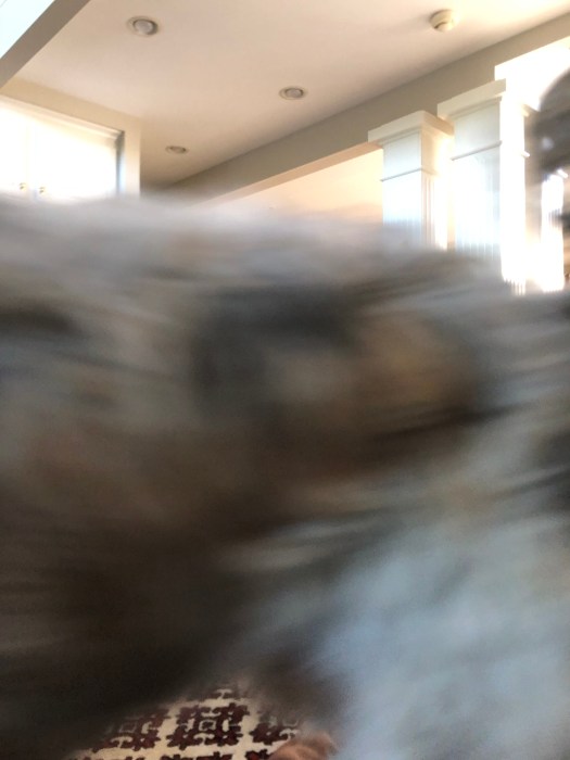 445199EF-34B0-41B1-A2DE-8D9E1C90D421