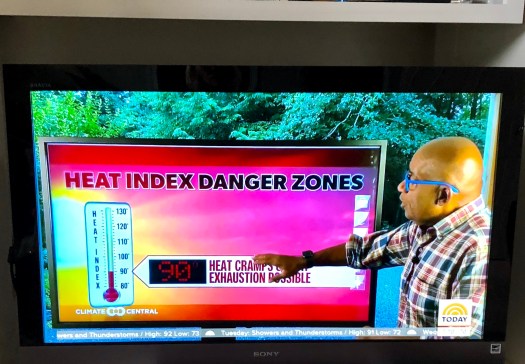 49854B4F-02C6-4D89-8A45-E3704A8D180E