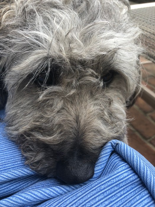 5AE13AB5-8B04-47BA-BCE7-514B35E3CA6D