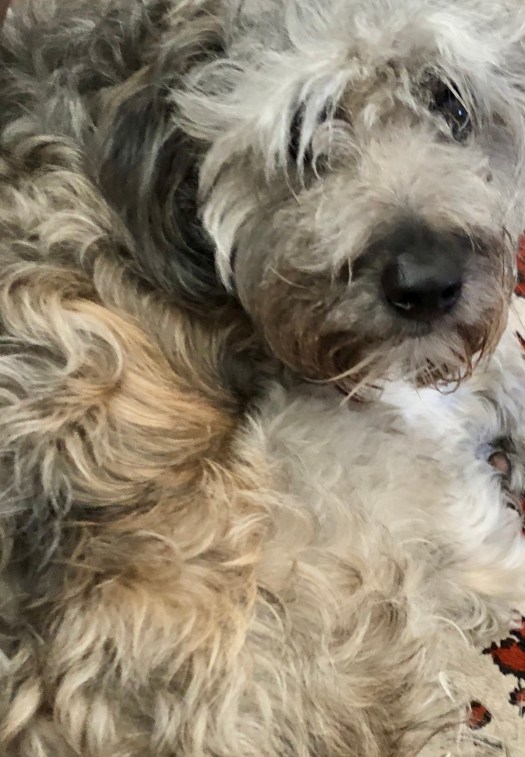 5D94CF94-2D25-4A97-8D58-E65E50E5BDB8