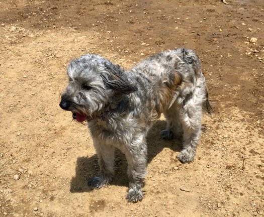 6216DBB2-47CC-410A-93A1-F05E34C51177