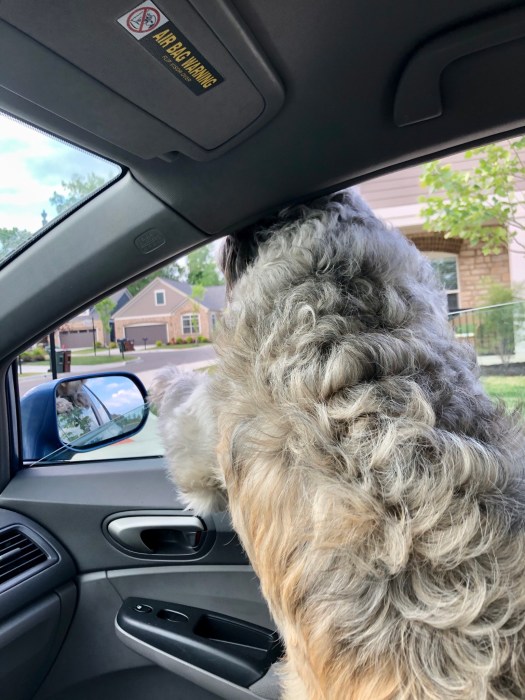 6420FE3E-D5A3-4C9A-B006-EF020AA82CC7