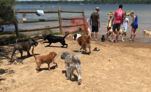 6C20EBC3-610A-47AC-A146-94647D750026