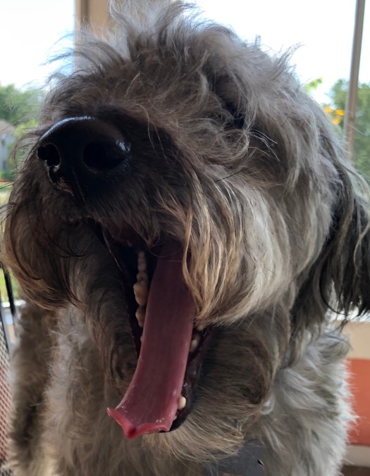 6CBFB92D-EDB1-46F9-A30B-612A913E2624