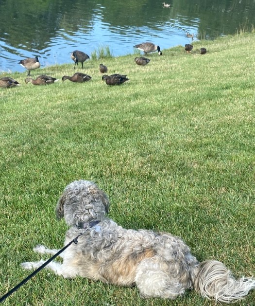 6D7EE217-160E-47B8-B460-62A2335A4688