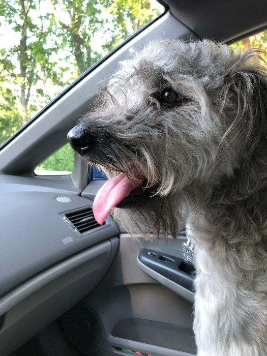 6EB02AB3-C7EA-4C7A-A7D2-AB2B2F418427