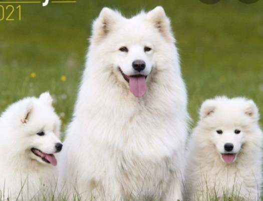 70549FB2-BE71-457A-9C07-B603BD91EC7C