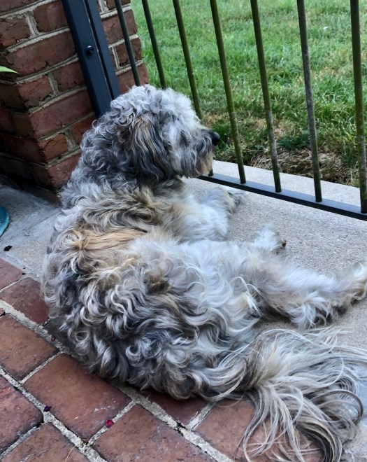 740403E3-5088-4E49-B373-EFD913BAB59B