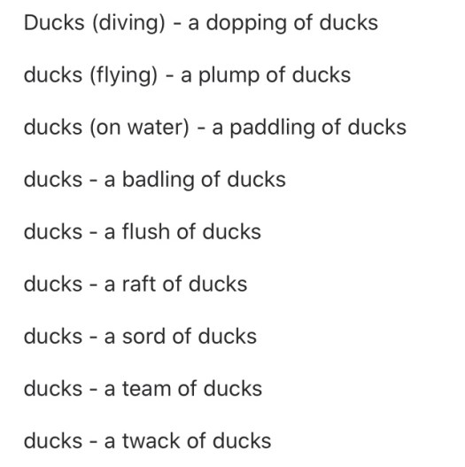 78D800A9-D3FF-4F94-AC1D-0E3C7EC92DE6