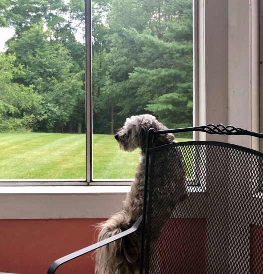 8AD049E7-007A-4916-A4F4-E3495751B4D1