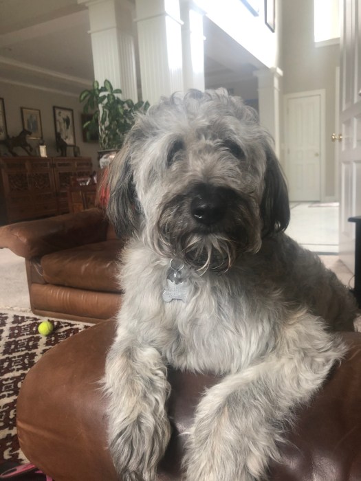 8B557350-1EA6-45F5-B3AB-8DE0233F0ED5