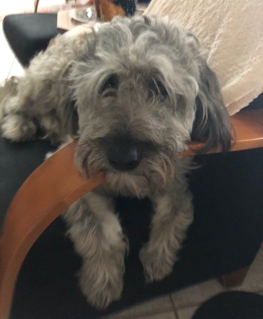 9188F0A7-1D27-4C9D-B9E3-980F102D5FD7