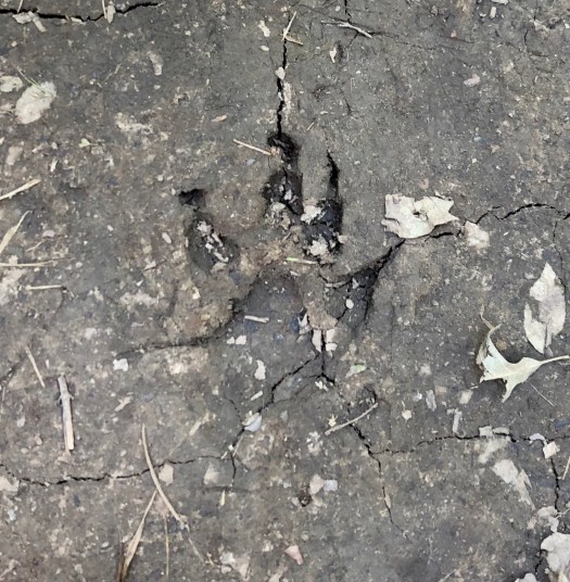 9843A612-8321-4EF5-AA6B-4166A7A047A8