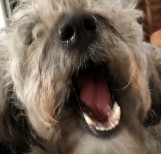 9854A9D9-D745-4824-A443-5313A0277BF8