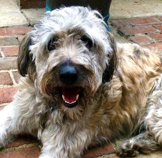 9AEFFEB9-253A-48F0-9CA9-574D00B22E0E