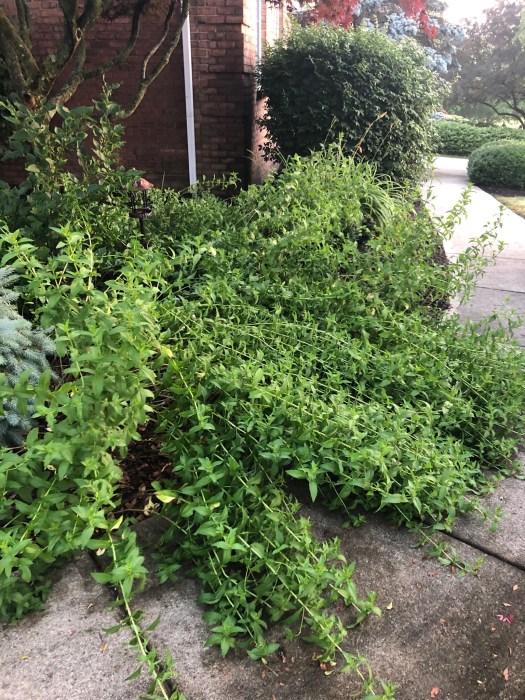 9F6B88E2-2B21-47AD-902B-0287621A41A0