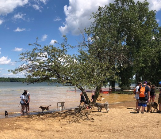 A3E37439-FDF5-4CCB-8DAA-4E39581BC97A