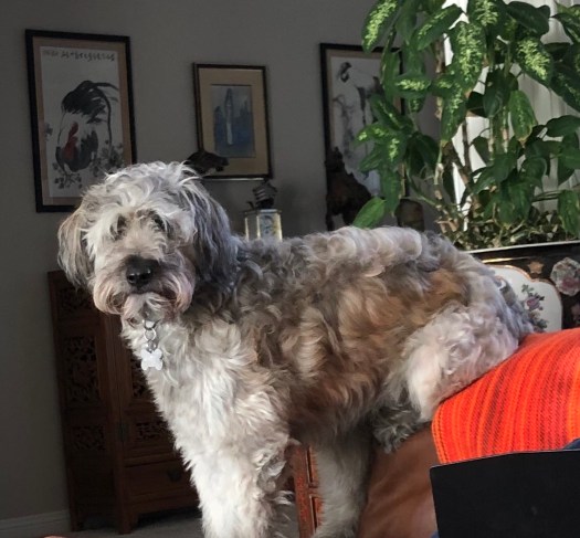 BAA23699-B3B5-4E0A-A6A0-68EAA8818699