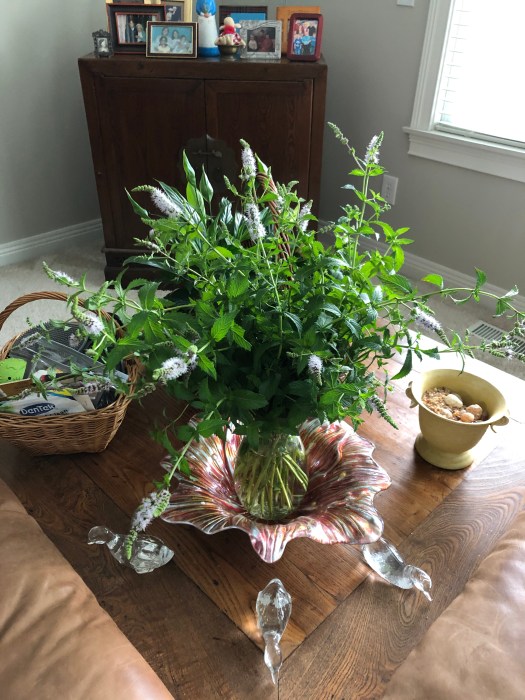 BF462E0C-F765-42F1-9655-EDF1C3EC2663