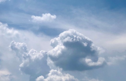 C320BF17-3238-4F8E-9E84-640A830AE785