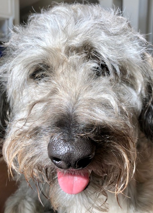 C3F10440-6D54-4FA4-86B9-9EF143D5C6CC