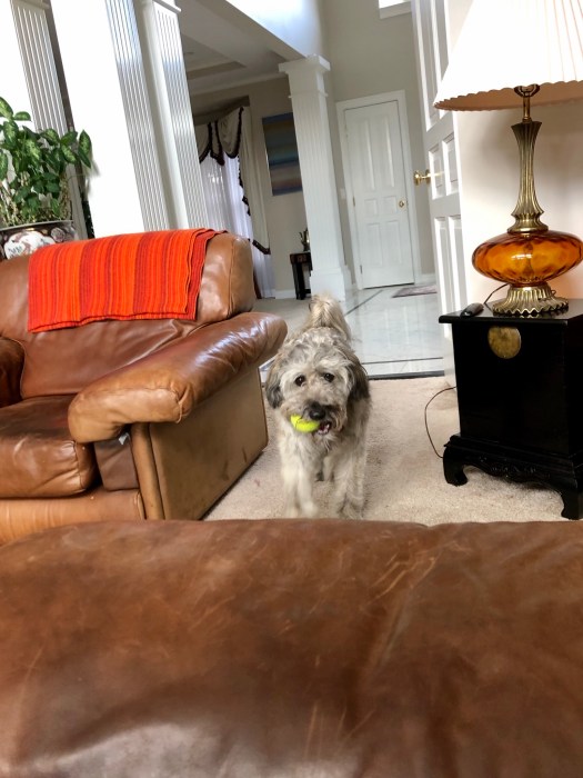 C439A046-6EB9-426F-A102-DD08156AD572