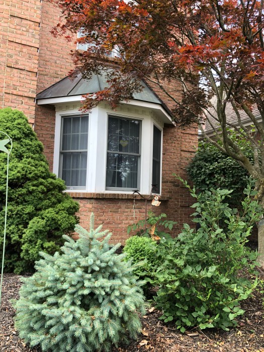 C4C0AD71-E9B4-40CA-A17C-B52C325DB342