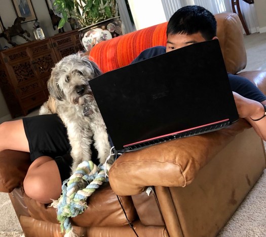 C5E41A07-6EFC-4A7A-B662-5E14D8E1C95E