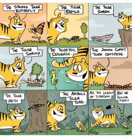 CB9D92F4-5CCA-4AED-B200-9D0B1C5DC2A3